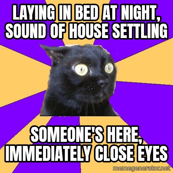 Anxiety Cat meme: laying in bed at night, sound of house settling / someone's here, immediately close eyes