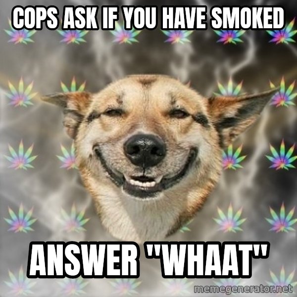 Stoner Dog meme: cops ask if you have smoked / answer ''whaat''