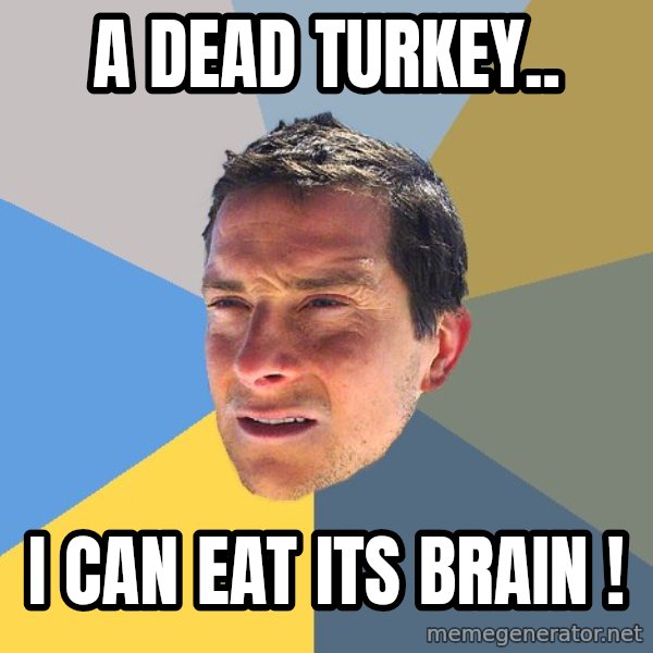 Bear Grylls meme: A dead turkey.. / i can eat its brain !