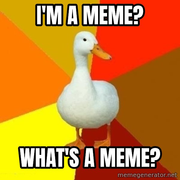 Technologically Impaired Duck meme: I'm a meme? / What's a meme?