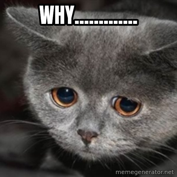 Sadcat meme: Why.............