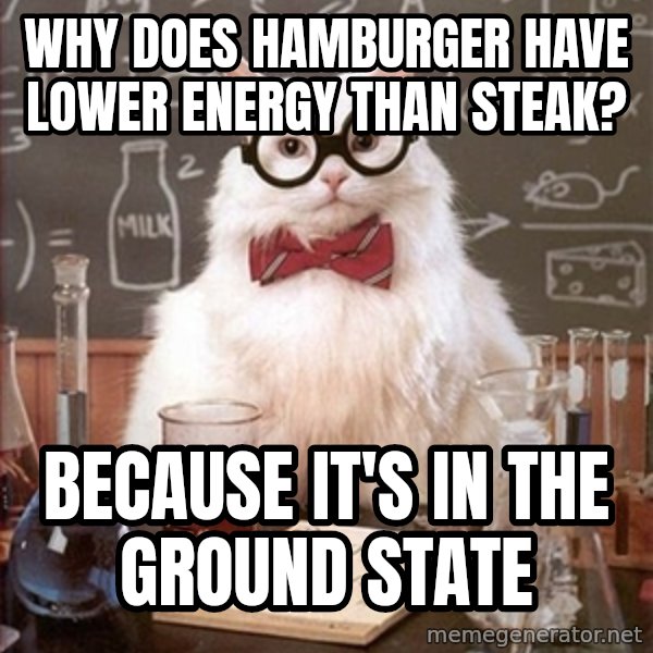Science Cat meme: Why does hamburger have lower energy than steak? / Because it's in the ground state