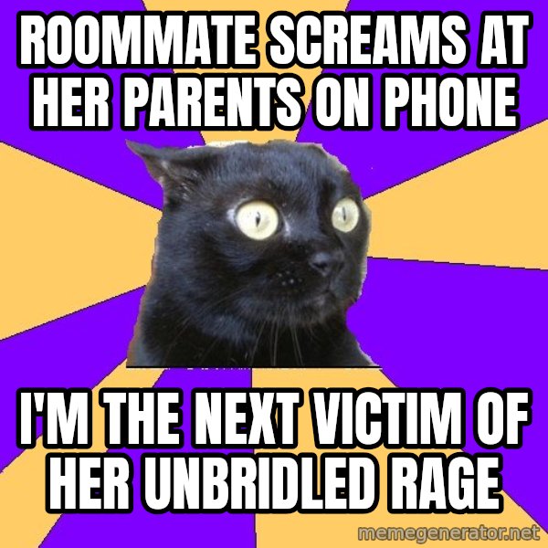 Anxiety Cat meme: roommate screams at her parents on phone / I'm the next victim of her unbridled rage