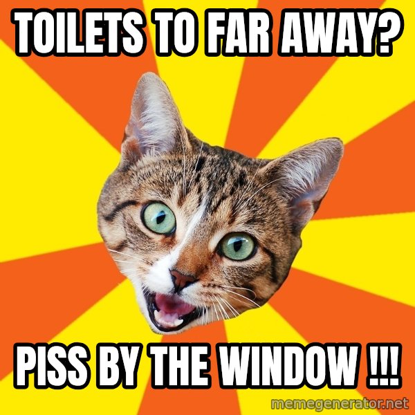 Bad Advice Cat meme: Toilets to far away? / Piss by the window !!!