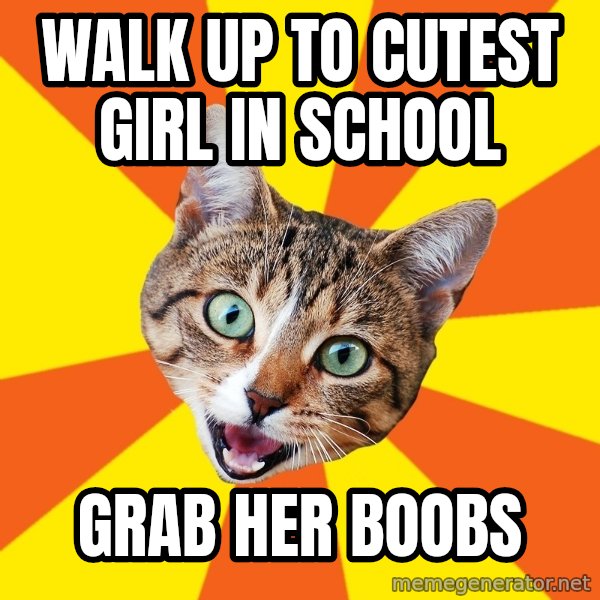 Bad Advice Cat meme: Walk up to cutest girl in school / Grab her boobs