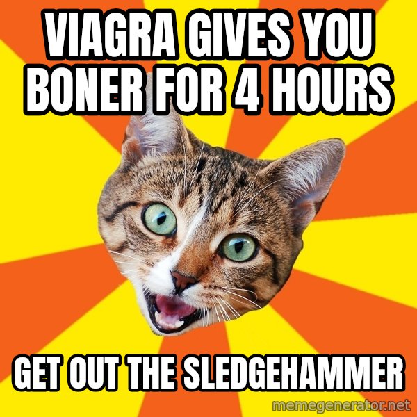 Bad Advice Cat meme: Viagra gives you boner for 4 hours / get out the sledgehammer
