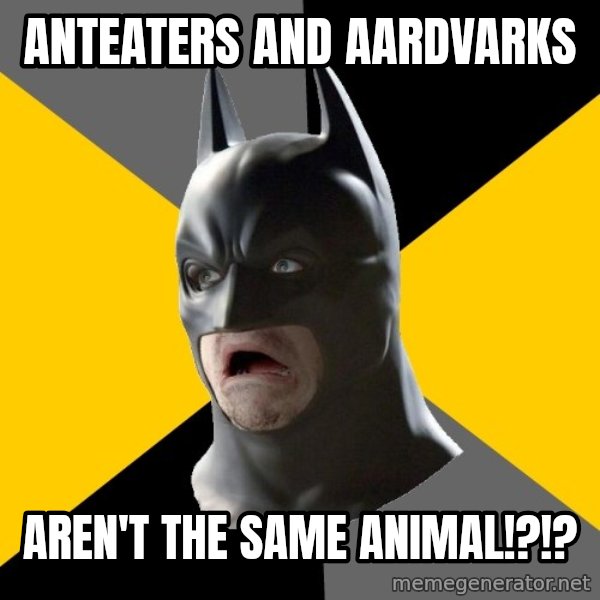 Bad Factman meme: Anteaters and aardvarks / aren't the same animal!?!?