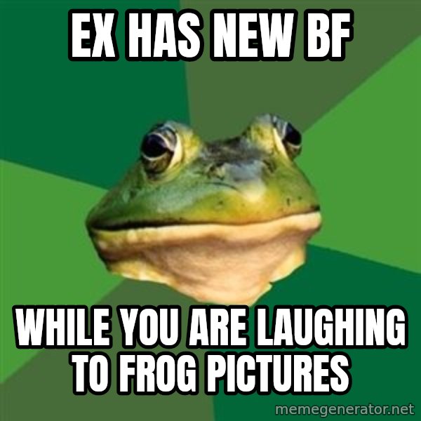 Foul Bachelor Frog meme: EX has new bf / WHILE you are laughing to frog pictures