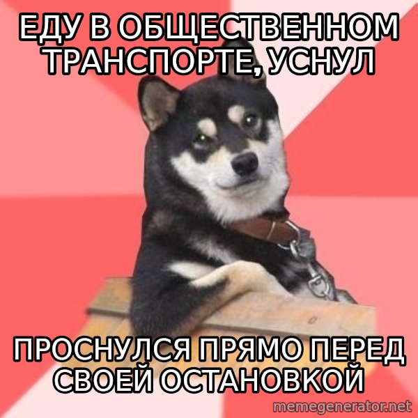 Cool Dog meme: еду в общественном транспорте, уснул / проснулся прямо перед  своей остановкой