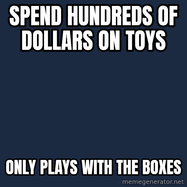 Victory Baby meme: Spend hundreds of dollars on toys / Only plays with the boxes