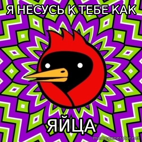 Omsk Crow meme: я несусь                к тебе как / яйца