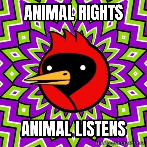 Omsk Crow meme: ANIMAL RIGHTS / ANIMAL LISTENS