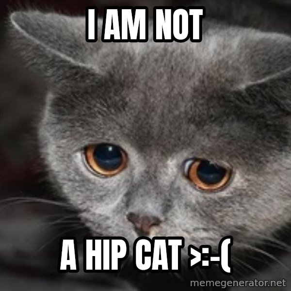 Sadcat meme: I am not / A hip cat >:-(