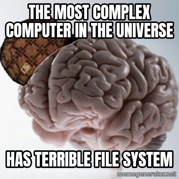 Scumbag Brain meme: the most complex computer in the universe / has terrible file system
