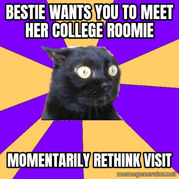 Anxiety Cat meme: bestie wants you to meet her college roomie / momentarily rethink visit