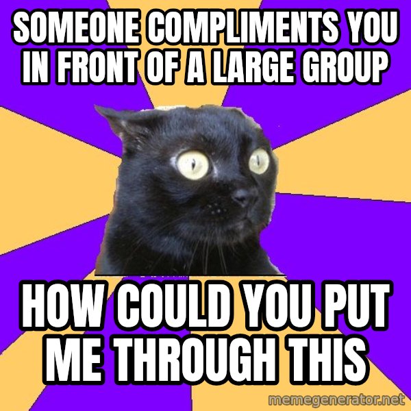 Anxiety Cat meme: someone compliments you in front of a large group / how could you put me through this