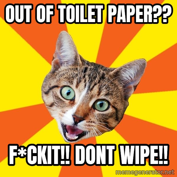 Bad Advice Cat meme: OUt of toilet paper?? / F*ckiT!! dont wipe!!