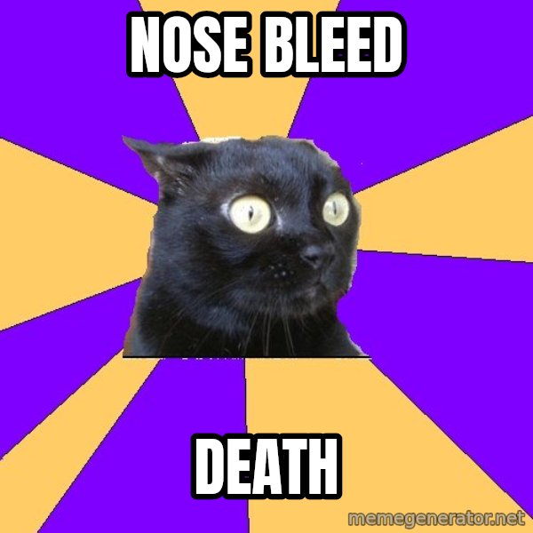 Anxiety Cat meme: nose bleed / death