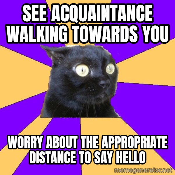 Anxiety Cat meme: see acquaintance walking towards you / worry about the appropriate distance to say hello