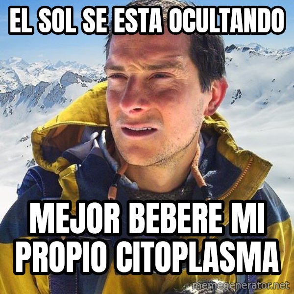 Bear Grylls Loneliness meme: el sol se esta ocultando / mejor bebere mi propio citoplasma