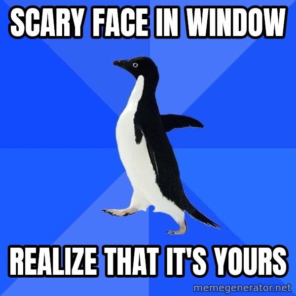Socially Awkward Penguin meme: Scary Face in window / Realize that it's yours