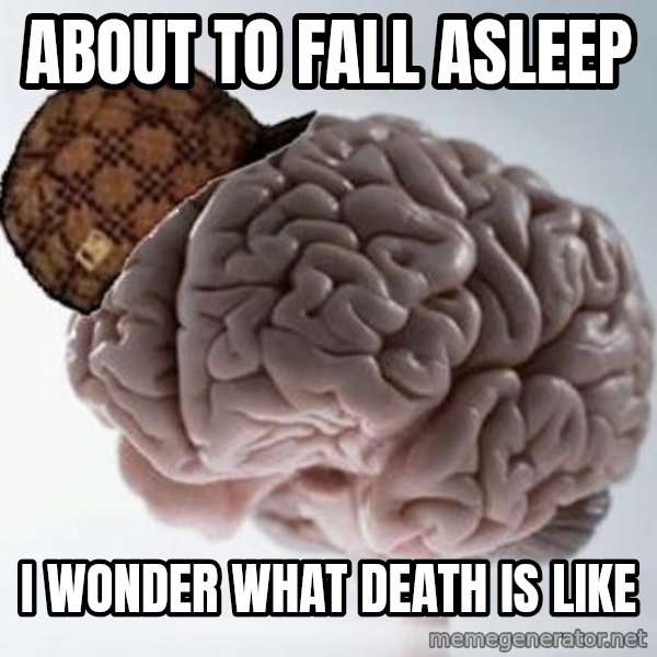 Scumbag Brain meme: About to fall Asleep / I wonder what death is like