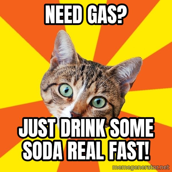 Bad Advice Cat meme: NEED GAS? / JUST DRINK SOME SODA REAL FAST!