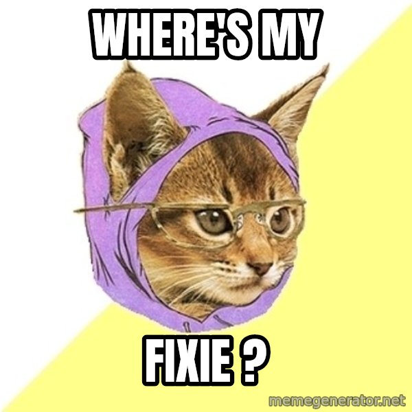 Hipster Kitty meme: Where'S my / FIxie ?