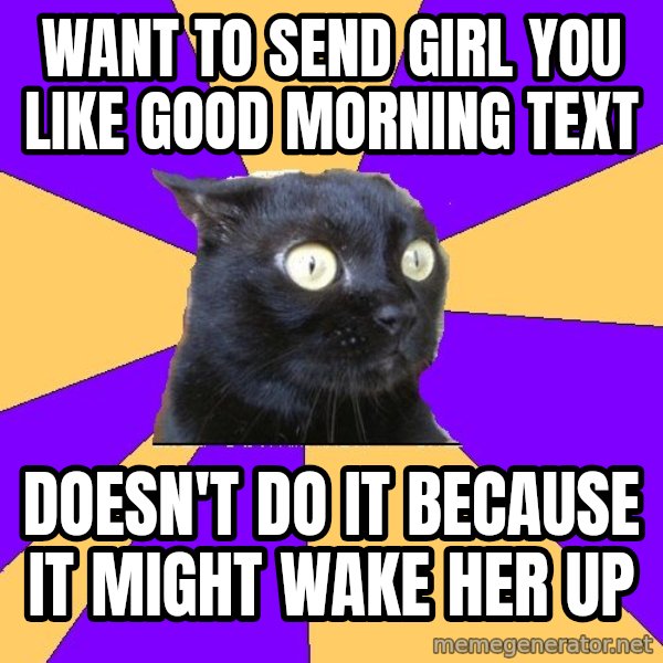 Anxiety Cat meme: Want to send girl you like good morning text / Doesn't do it because it might wake her up