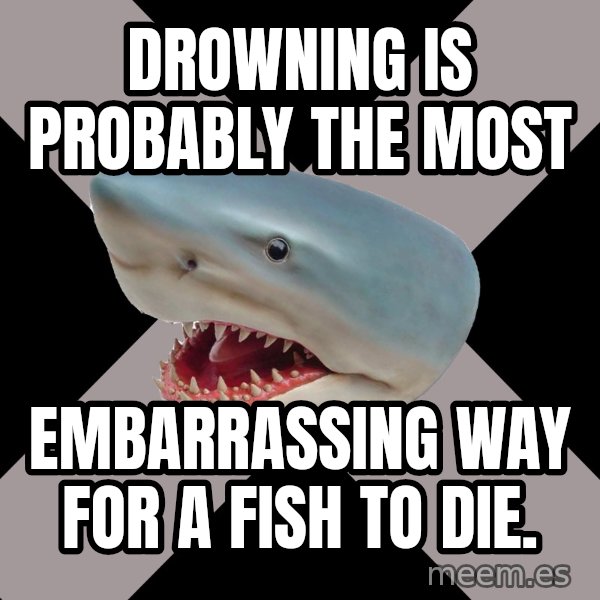 Straight Edge Shark meme: Drowning is probably the most / EMBARRASSING WAY FOR A FISH TO DIE.