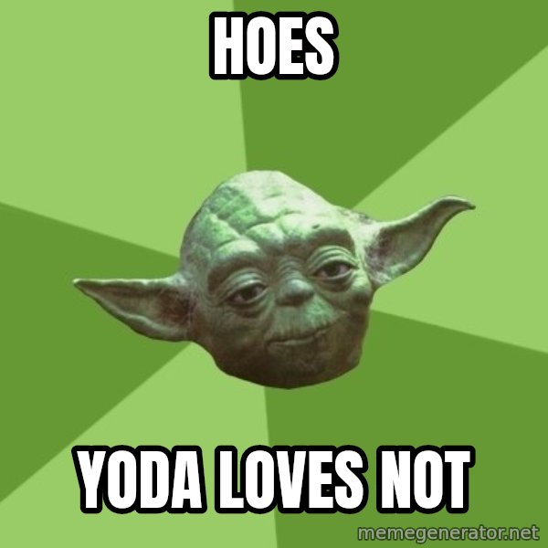 Advice Yoda Gives meme: HOES / YODA LOVES NOT