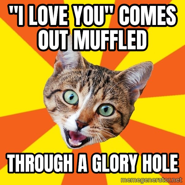 Bad Advice Cat meme: "I love you" comes out muffled / THROUGH A GLORY HOLE