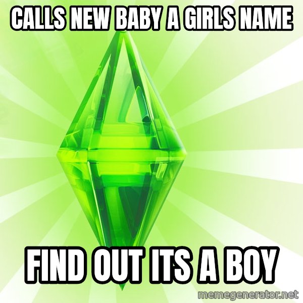 Sims meme: Calls new baby a girls name / Find out its a boy