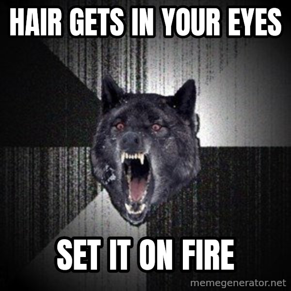 Insanity Wolf meme: HAIR GETS IN YOUR EYES / SET IT ON FIRE