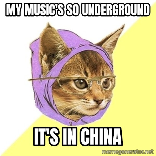 Hipster Kitty meme: My Music's So Underground / It's in China