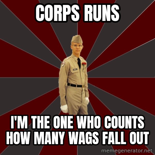 Stereotypical Corps Guy meme: Corps runs / I'm the one who counts how many wags fall out