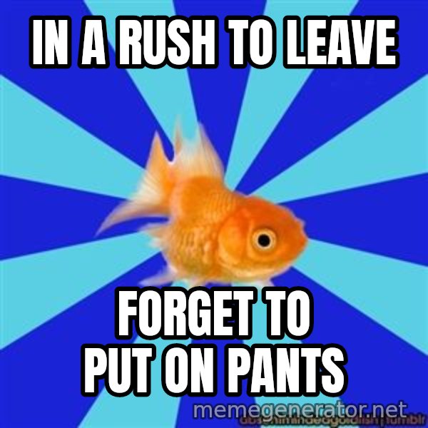 Absentminded Goldfish meme: In a rush to leave / forget to put on pants