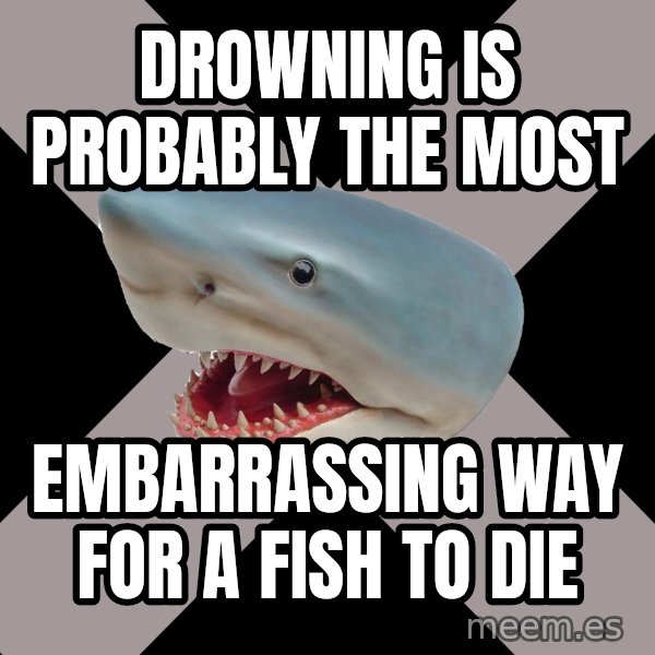 Straight Edge Shark meme: Drowning is probably the most / EMBARRASSING way for a fish to die