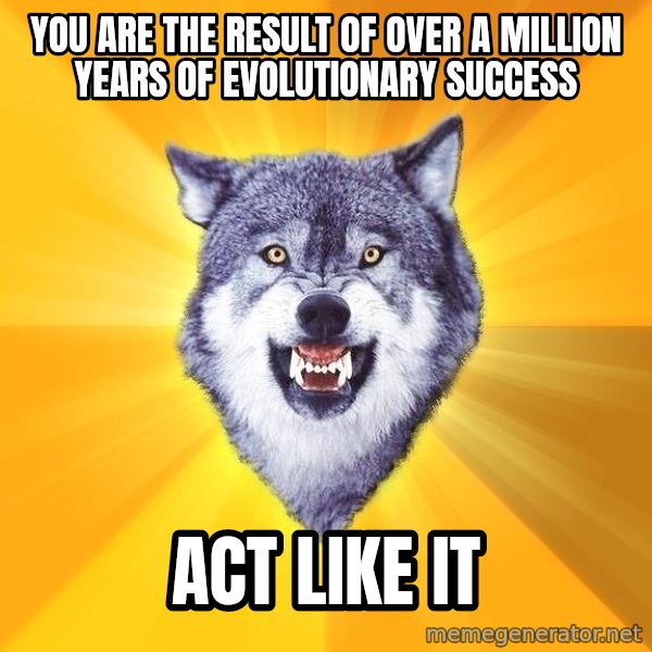 Courage Wolf meme: You are the result of over a million years of evolutionary success / Act Like It