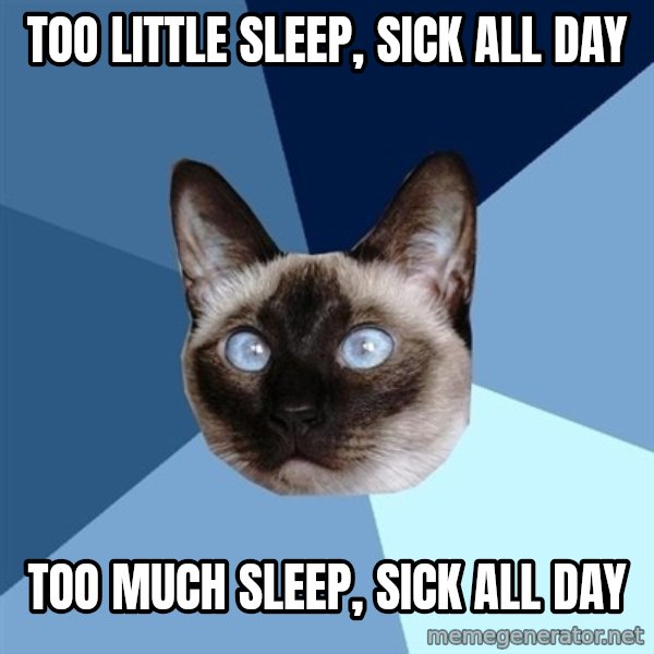 Chronic Illness Cat meme: too Little SLEEP, Sick All Day / Too much Sleep, Sick All day