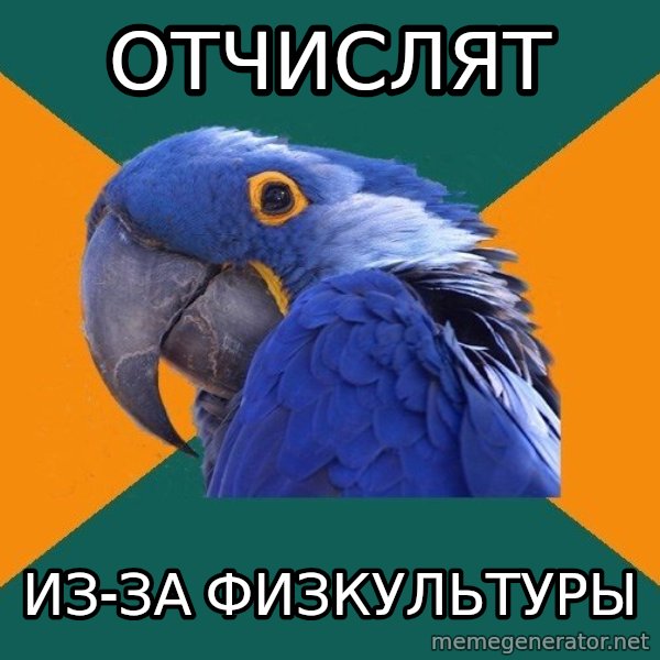 Paranoid Parrot meme: ОТЧИСЛЯТ / ИЗ-ЗА ФИЗКУЛЬТУРЫ