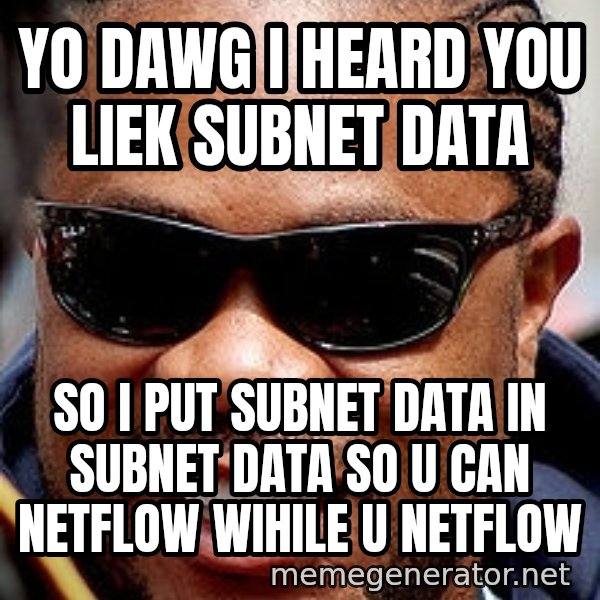 Xzibit meme: yo DAWG I HEARD YOU LIEK SUBNET DATA / SO I PUT SUBNET DATA IN SUBNET DATA SO u can netflow wihile u netflow