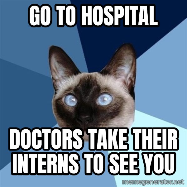 Chronic Illness Cat meme: go to hospital / doctors take their interns to see you