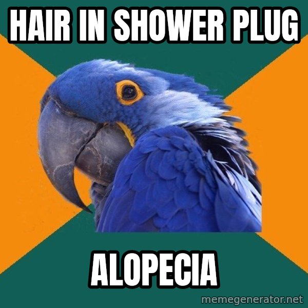 Paranoid Parrot meme: Hair in shower plug / alopecia
