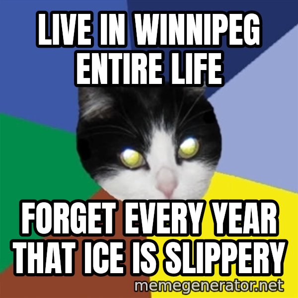 Winnipeg Cat meme: Live in Winnipeg entire life / forget every year that ice is slippery