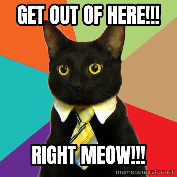Business Cat meme: Get out of here!!! / Right meow!!!