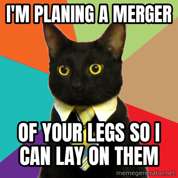 Business Cat meme: I'm planing a merger / of your legs so I can lay on them