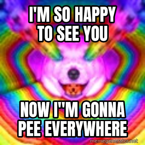 Final Advice Dog meme: i'm so happy to see you / now I"m gonna pee everywhere