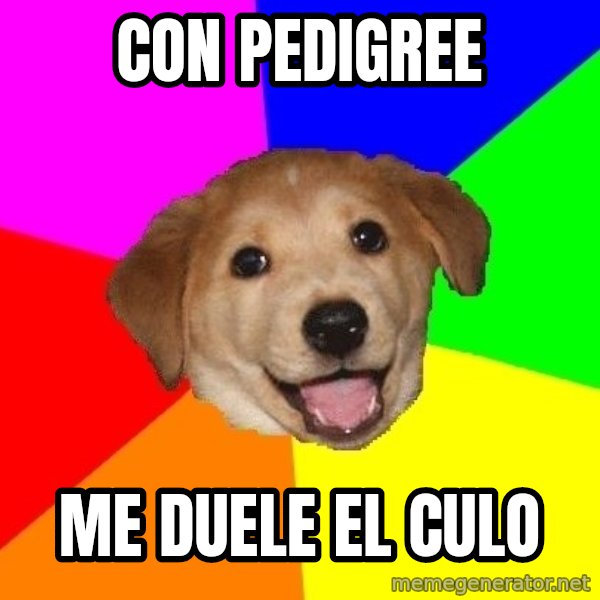 Advice Dog meme: con pedigree / me duele el culo