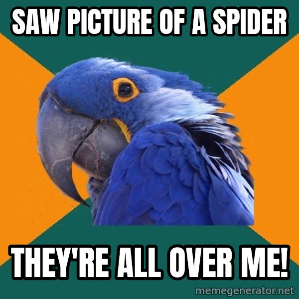 Paranoid Parrot meme: Saw picture of a spider / They're all over me!